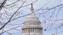 The U.S. Capitol