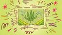 A Spotlight PA analysis of 1 million medical marijuana certifications reveals how a change by policymakers made it possible for virtually anyone to get a card. A Spotlight PA analysis of 1 million medical marijuana certifications reveals how a change by policymakers made it possible for virtually anyone to get a card.