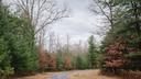 A wooded area in Centre County. A wooded area in Centre County.