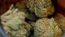 The PA legislature is considering everything from expanding who can get medical marijuana to full legalization. The PA legislature is considering everything from expanding who can get medical marijuana to full legalization.