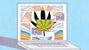 Test your knowledge of PA's booming medical marijuana program.