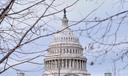 The U.S. Capitol