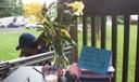Flowers and a small American flag on a table at a vigil in Muhlenberg Township, where supporters were invited to write messages to Erasmo Zavala.