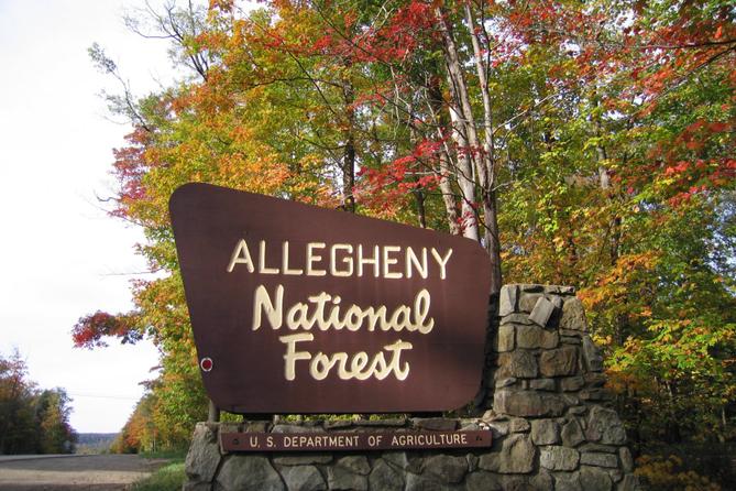 An Allegheny National Forest sign in McKean County. An Allegheny National Forest sign in McKean County.