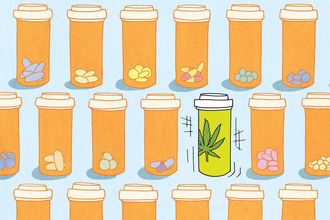 Pill bottles in a grid. One bottle has a marijuana leaf label on it. Pill bottles in a grid. One bottle has a marijuana leaf label on it.