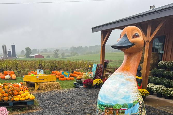 A goose statue stands near a pumpkin display. A goose statue stands near a pumpkin display.