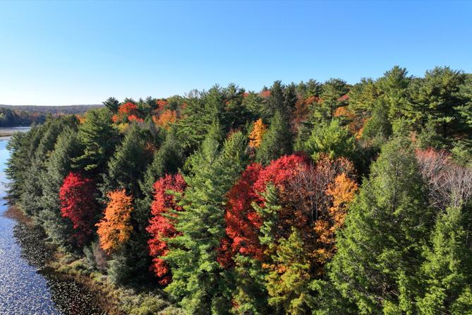 Green, red, and orange trees viewed from afar. Green, red, and orange trees viewed from afar.