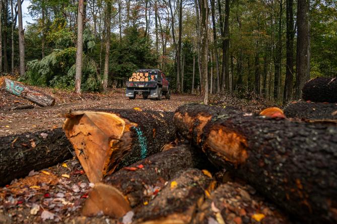Dan Albaugh, a third-generation logger, drives away from a logging site in the Allegheny National Forest near Howe Township. Dan Albaugh, a third-generation logger, drives away from a logging site in the Allegheny National Forest near Howe Township.
