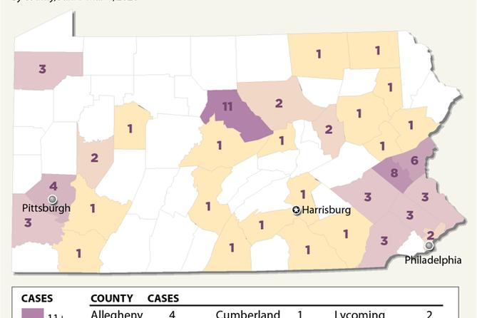 Avian flu confirmed cases in wild birds in Pennsylvania Avian flu confirmed cases in wild birds in Pennsylvania