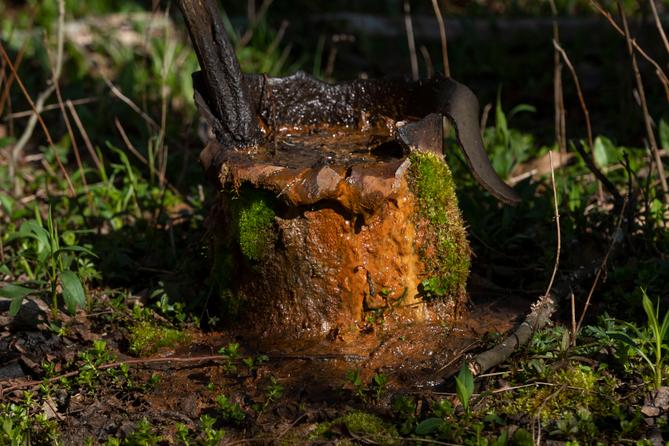 An abandoned well is seen on the property of Cheryl and Joe Thomas in Duke Center, Pa., on April 25, 2023. An abandoned well is seen on the property of Cheryl and Joe Thomas in Duke Center, Pa., on April 25, 2023.