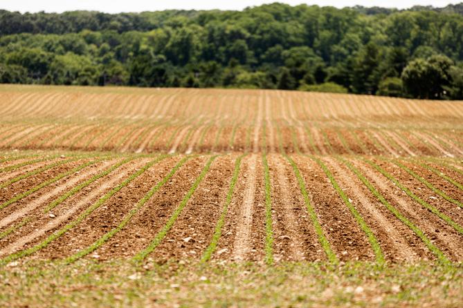 Pennsylvania’s $81.5 billion agriculture sector supported 301,900 jobs and $14.5 billion in labor income in 2019, according to the state Department of Agriculture. Pennsylvania’s $81.5 billion agriculture sector supported 301,900 jobs and $14.5 billion in labor income in 2019, according to the state Department of Agriculture.