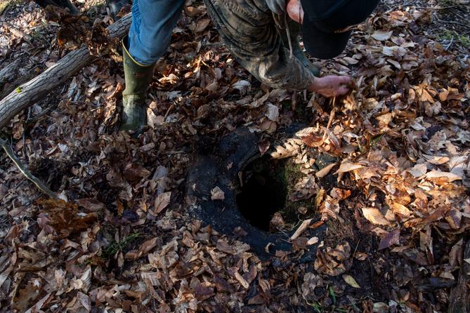 Joe Thomas clears leaves from an abandoned well on the Duke Center, Pa. property he and his wife, Cheryl, own. Joe Thomas clears leaves from an abandoned well on the Duke Center, Pa. property he and his wife, Cheryl, own.