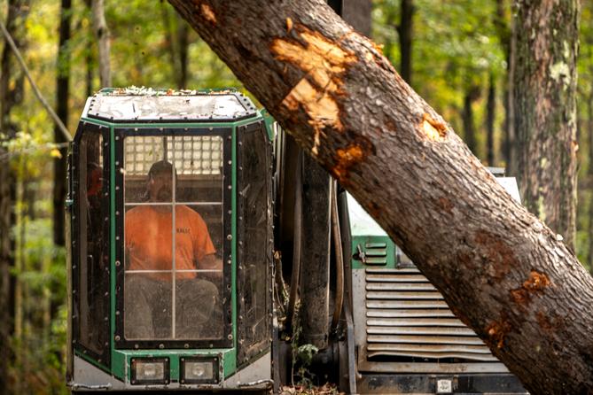 Bert Sarginger operates a machine that can cut and load logs onto a truck bed on a logging site in the Allegheny National Forest. Bert Sarginger operates a machine that can cut and load logs onto a truck bed on a logging site in the Allegheny National Forest.