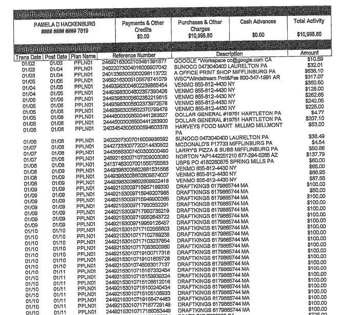 A section of a Gregg Township credit card statement from January 2023. A section of a Gregg Township credit card statement from January 2023.