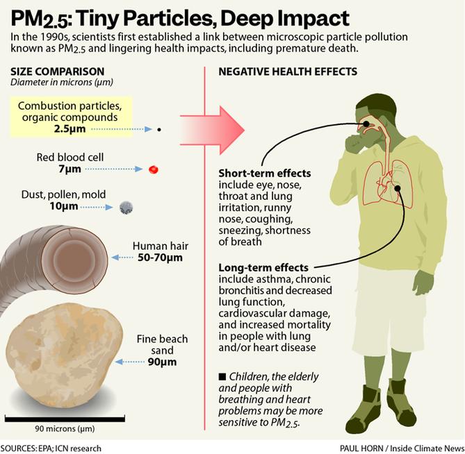 Infographic explaining various health effects of particulate matter